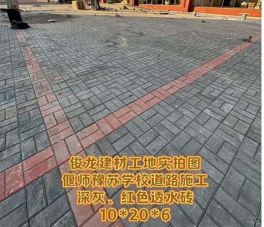 偃師豫蘇學(xué)校道路施工（深灰、紅色透水磚 10*20*6）